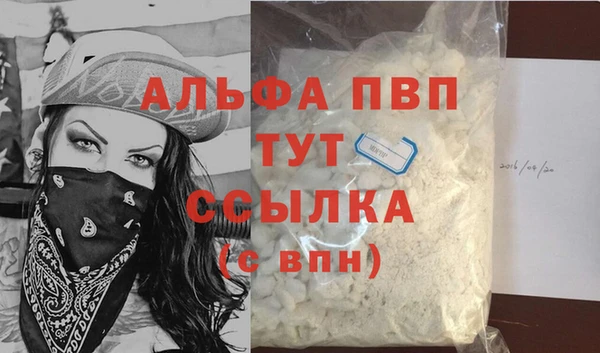 ПСИЛОЦИБИНОВЫЕ ГРИБЫ Белокуриха
