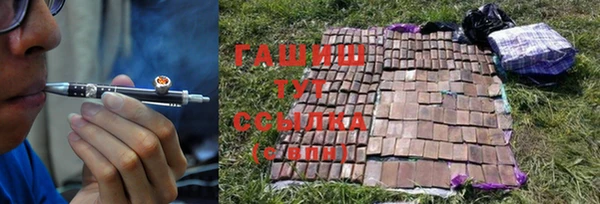 ПСИЛОЦИБИНОВЫЕ ГРИБЫ Белокуриха