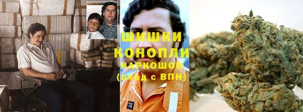 ПСИЛОЦИБИНОВЫЕ ГРИБЫ Белокуриха