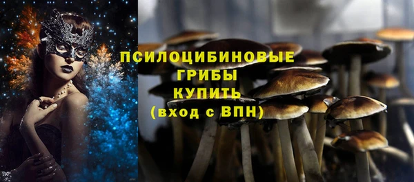 ПСИЛОЦИБИНОВЫЕ ГРИБЫ Белокуриха
