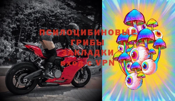 ПСИЛОЦИБИНОВЫЕ ГРИБЫ Белокуриха